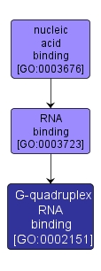 GO:0002151 - G-quadruplex RNA binding (interactive image map)