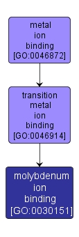 GO:0030151 - molybdenum ion binding (interactive image map)