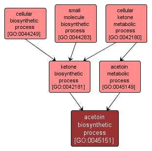 GO:0045151 - acetoin biosynthetic process (interactive image map)