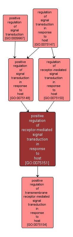 GO:0075151 - positive regulation of receptor-mediated signal transduction in response to host (interactive image map)
