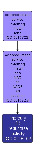 GO:0016152 - mercury (II) reductase activity (interactive image map)