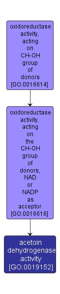 GO:0019152 - acetoin dehydrogenase activity (interactive image map)