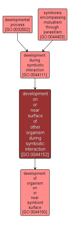 GO:0044152 - development on or near surface of other organism during symbiotic interaction (interactive image map)
