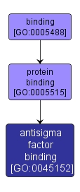 GO:0045152 - antisigma factor binding (interactive image map)