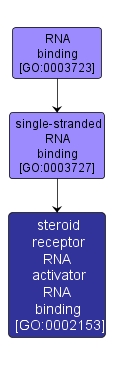 GO:0002153 - steroid receptor RNA activator RNA binding (interactive image map)