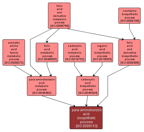 GO:0008153 - para-aminobenzoic acid biosynthetic process (interactive image map)