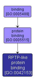 GO:0042153 - RPTP-like protein binding (interactive image map)