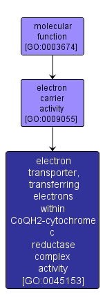 GO:0045153 - electron transporter, transferring electrons within CoQH2-cytochrome c reductase complex activity (interactive image map)