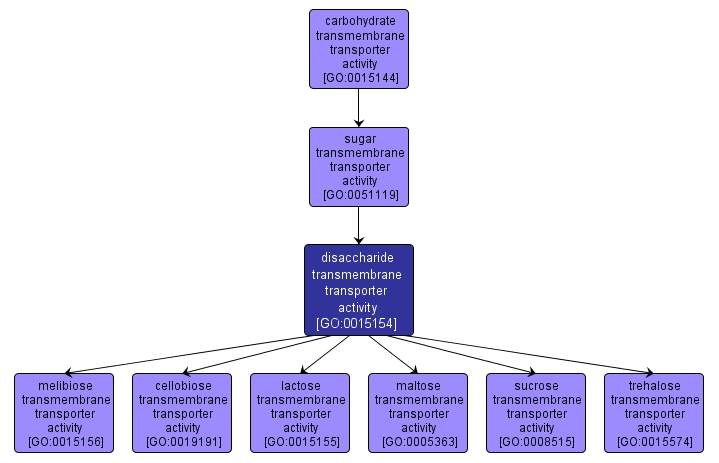 GO:0015154 - disaccharide transmembrane transporter activity (interactive image map)