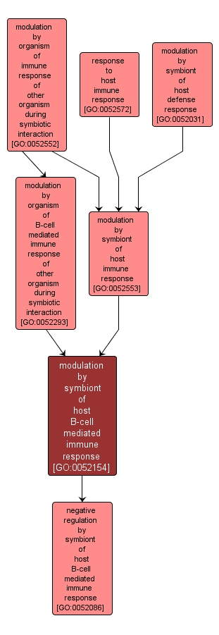 GO:0052154 - modulation by symbiont of host B-cell mediated immune response (interactive image map)
