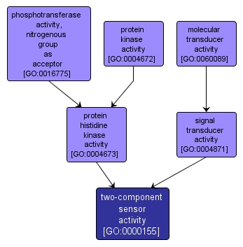 GO:0000155 - two-component sensor activity (interactive image map)