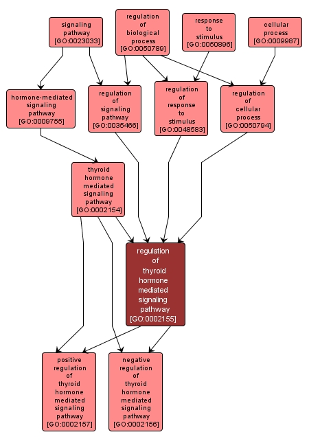 GO:0002155 - regulation of thyroid hormone mediated signaling pathway (interactive image map)