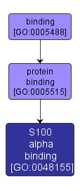 GO:0048155 - S100 alpha binding (interactive image map)
