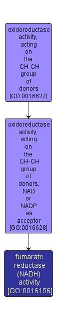 GO:0016156 - fumarate reductase (NADH) activity (interactive image map)