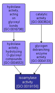 GO:0019156 - isoamylase activity (interactive image map)