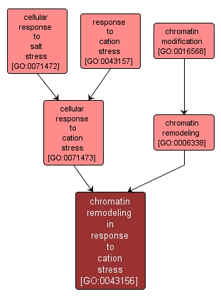 GO:0043156 - chromatin remodeling in response to cation stress (interactive image map)