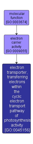 GO:0045156 - electron transporter, transferring electrons within the cyclic electron transport pathway of photosynthesis activity (interactive image map)