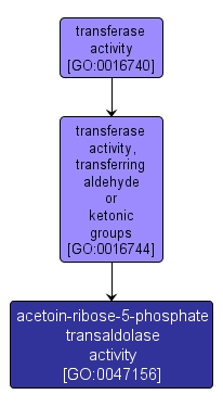 GO:0047156 - acetoin-ribose-5-phosphate transaldolase activity (interactive image map)
