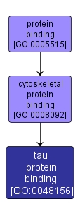 GO:0048156 - tau protein binding (interactive image map)