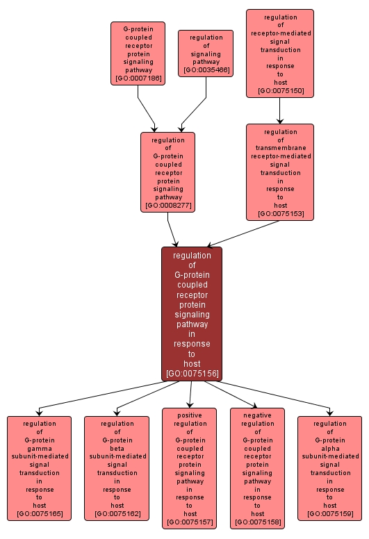 GO:0075156 - regulation of G-protein coupled receptor protein signaling pathway in response to host (interactive image map)