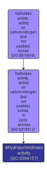 GO:0004157 - dihydropyrimidinase activity (interactive image map)