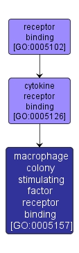 GO:0005157 - macrophage colony stimulating factor receptor binding (interactive image map)