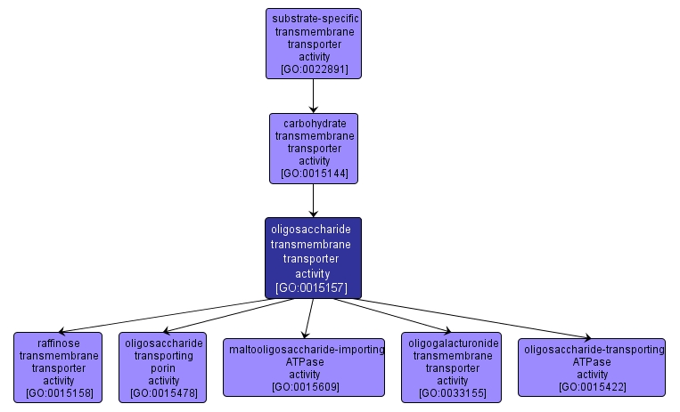 GO:0015157 - oligosaccharide transmembrane transporter activity (interactive image map)
