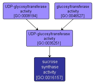 GO:0016157 - sucrose synthase activity (interactive image map)