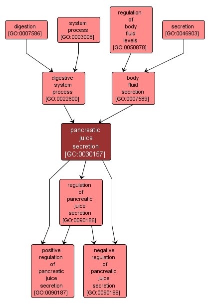 GO:0030157 - pancreatic juice secretion (interactive image map)