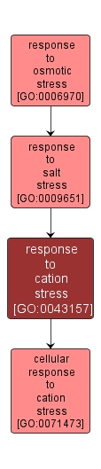 GO:0043157 - response to cation stress (interactive image map)