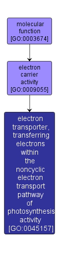 GO:0045157 - electron transporter, transferring electrons within the noncyclic electron transport pathway of photosynthesis activity (interactive image map)
