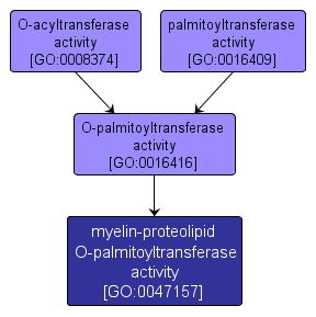 GO:0047157 - myelin-proteolipid O-palmitoyltransferase activity (interactive image map)