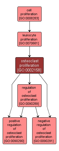 GO:0002158 - osteoclast proliferation (interactive image map)