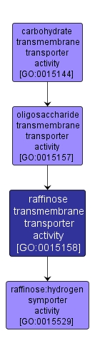 GO:0015158 - raffinose transmembrane transporter activity (interactive image map)
