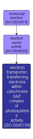 GO:0045158 - electron transporter, transferring electrons within cytochrome b6/f complex of photosystem II activity (interactive image map)