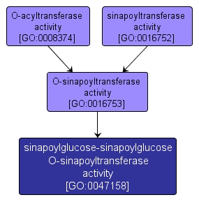 GO:0047158 - sinapoylglucose-sinapoylglucose O-sinapoyltransferase activity (interactive image map)