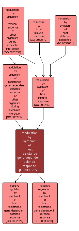 GO:0052158 - modulation by symbiont of host resistance gene-dependent defense response (interactive image map)