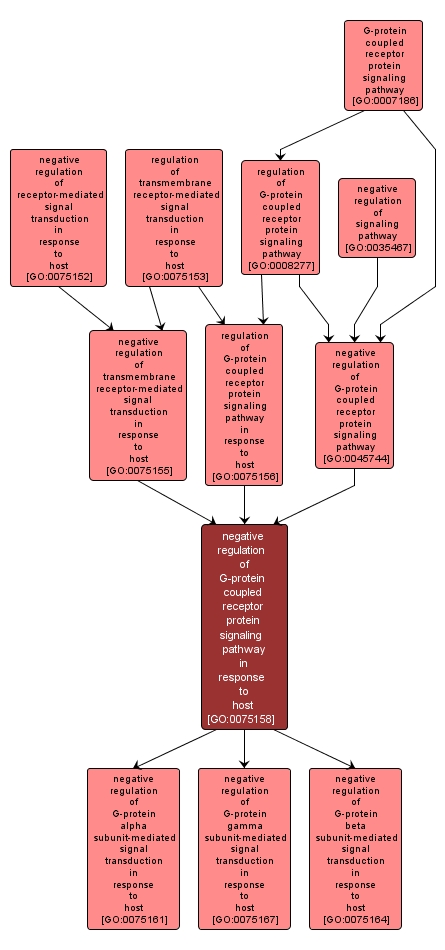 GO:0075158 - negative regulation of G-protein coupled receptor protein signaling pathway in response to host (interactive image map)
