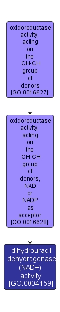 GO:0004159 - dihydrouracil dehydrogenase (NAD+) activity (interactive image map)