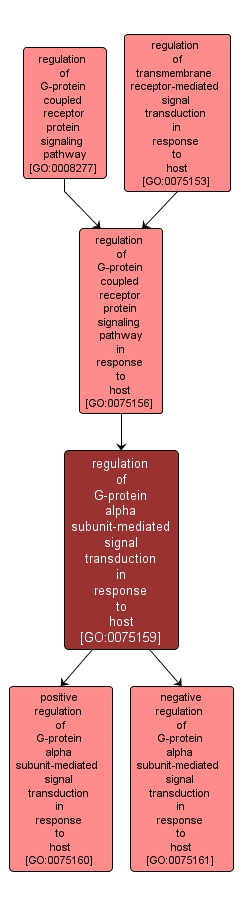 GO:0075159 - regulation of G-protein alpha subunit-mediated signal transduction in response to host (interactive image map)
