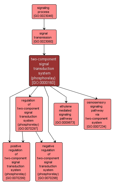 GO:0000160 - two-component signal transduction system (phosphorelay) (interactive image map)