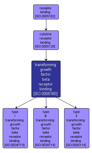 GO:0005160 - transforming growth factor beta receptor binding (interactive image map)