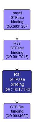 GO:0017160 - Ral GTPase binding (interactive image map)