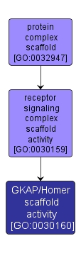 GO:0030160 - GKAP/Homer scaffold activity (interactive image map)