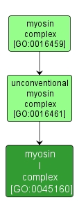 GO:0045160 - myosin I complex (interactive image map)