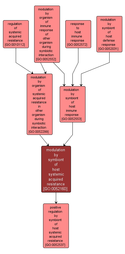 GO:0052160 - modulation by symbiont of host systemic acquired resistance (interactive image map)