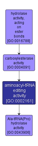 GO:0002161 - aminoacyl-tRNA editing activity (interactive image map)