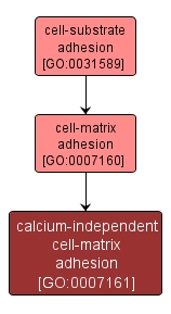 GO:0007161 - calcium-independent cell-matrix adhesion (interactive image map)
