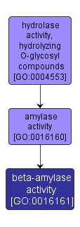 GO:0016161 - beta-amylase activity (interactive image map)