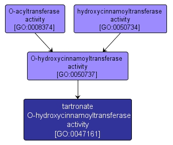 GO:0047161 - tartronate O-hydroxycinnamoyltransferase activity (interactive image map)
